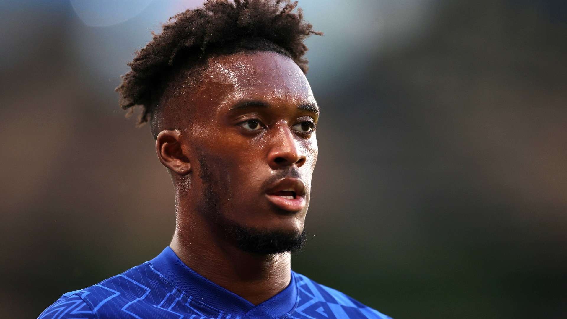 平性提供了 平性提供了